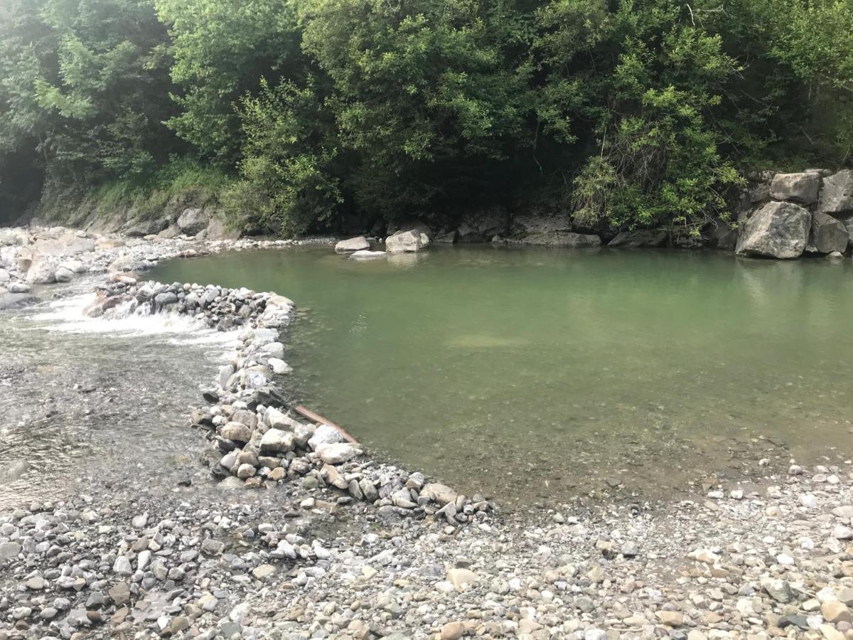 Kleine Ferienwohnung Am Rande Der Wildnis Sibratsgfall Bagian luar foto
