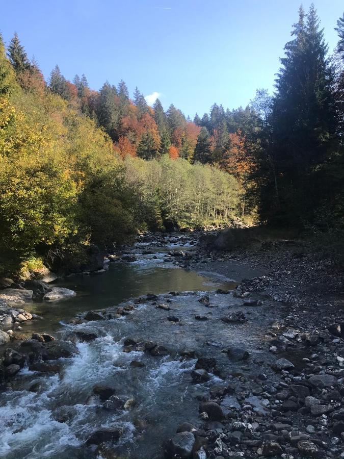 Kleine Ferienwohnung Am Rande Der Wildnis Sibratsgfall Bagian luar foto